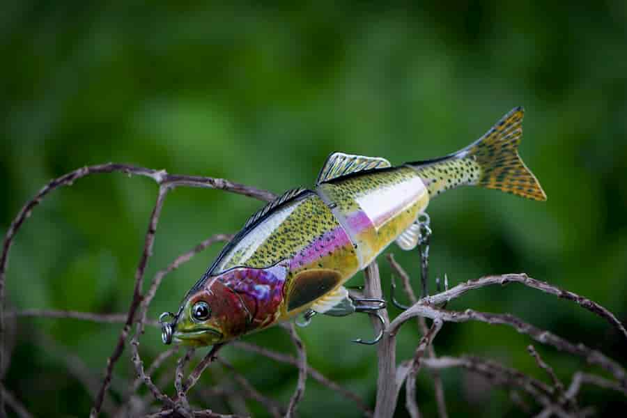 Bass Fishing Lure