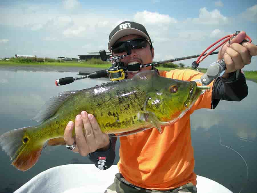 Florida Bass Fishing